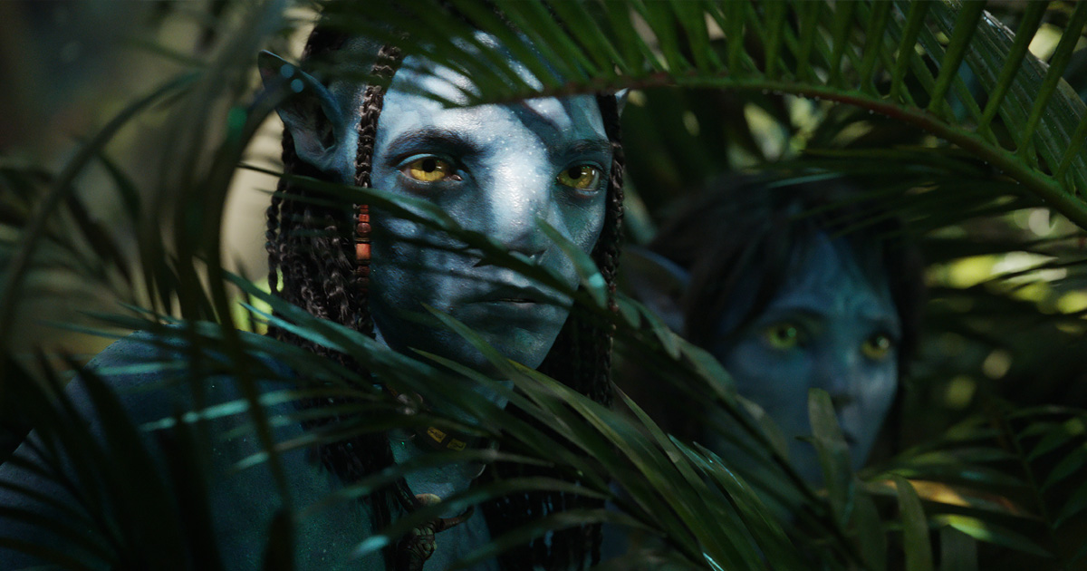 Box Office Results: Avatar 2 is the King of Christmas