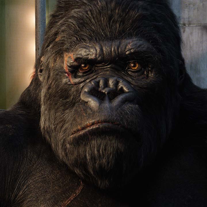 kong corestrength bow tie